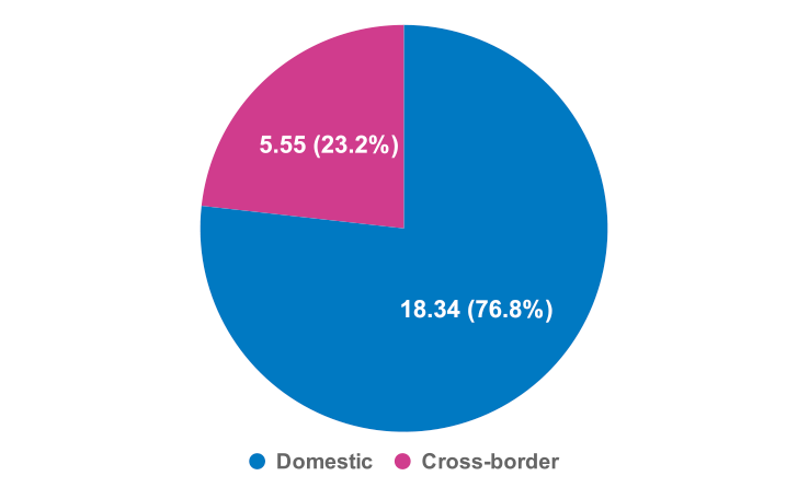 Domestic vs cross-border market in USD